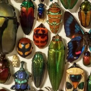 Meet your Posher, Melanie